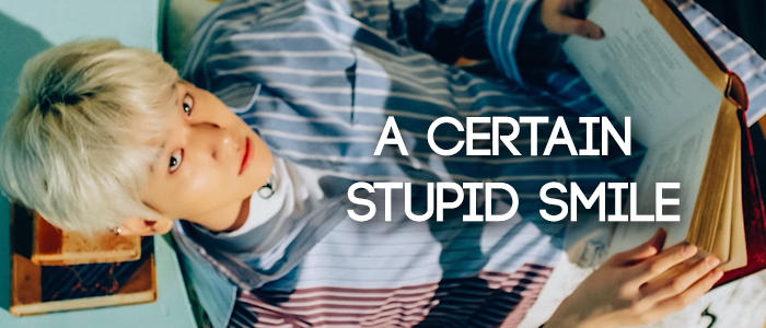 A Certain Stupid Smile